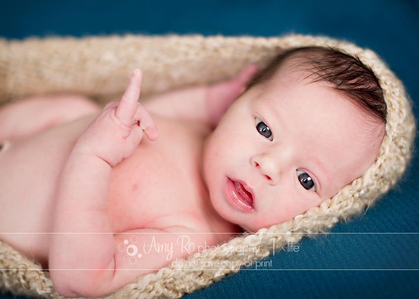 Rhode Island Newborn Photographer creates alert, awake baby boy images.