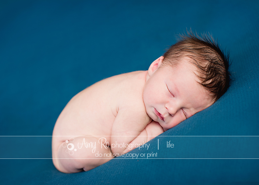 Sleeping curled up newborn on a blue blanket