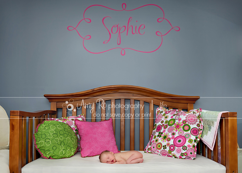 Newborn girl in beautiful pink, green and grey nursery