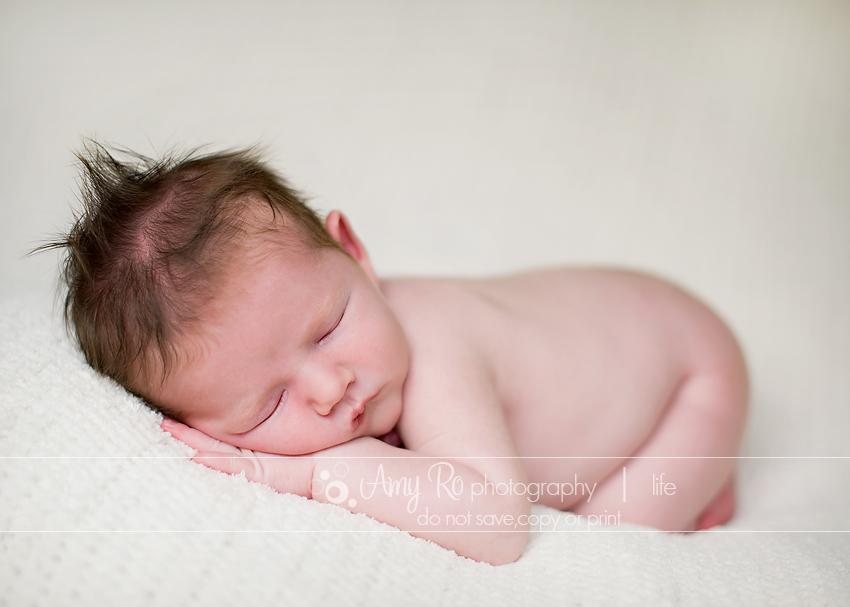 Beautiful newborn portrait in Rhode Island