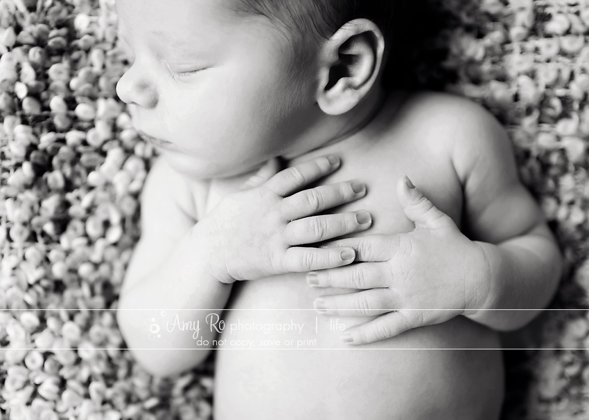 Newborn hands shot image