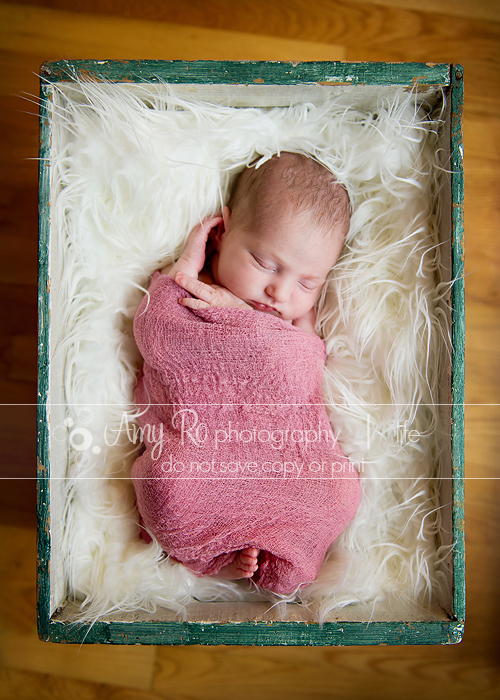 Beautiful sleeping newborn in a pink wrap, Dedham newborn photography