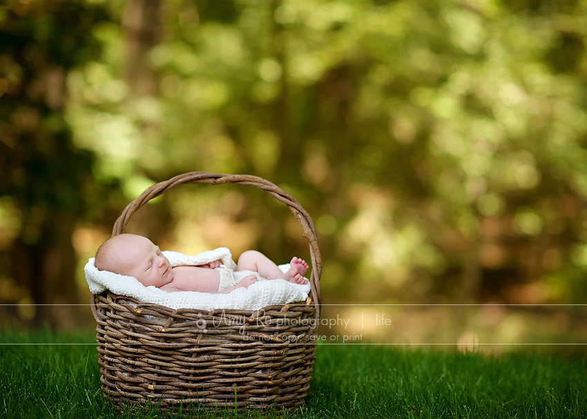 newborn in a basket outside