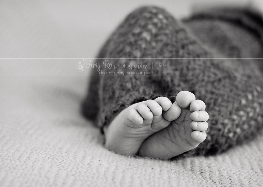 Newborn baby feet, Foxboro Newborn photography