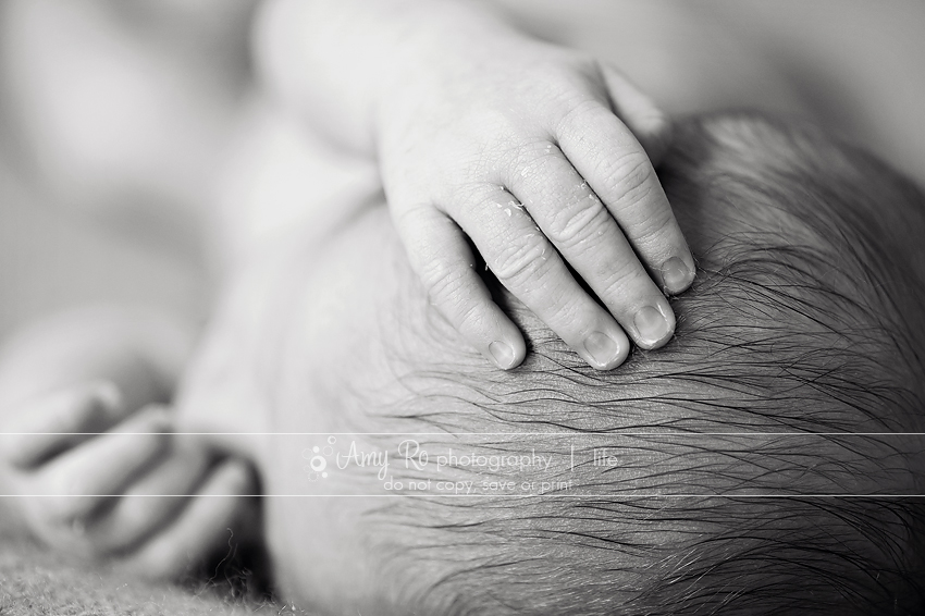 Newborn baby hand image, Easton newborn photography