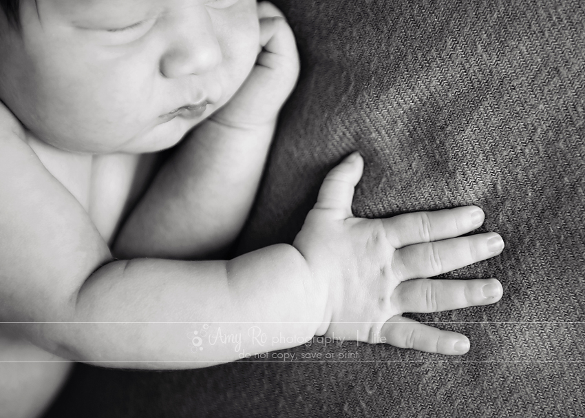 Black and white image of newborn hand