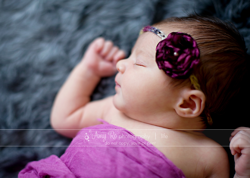 Beautiful image of baby girl in profile with purple wrap and headband on grey fur