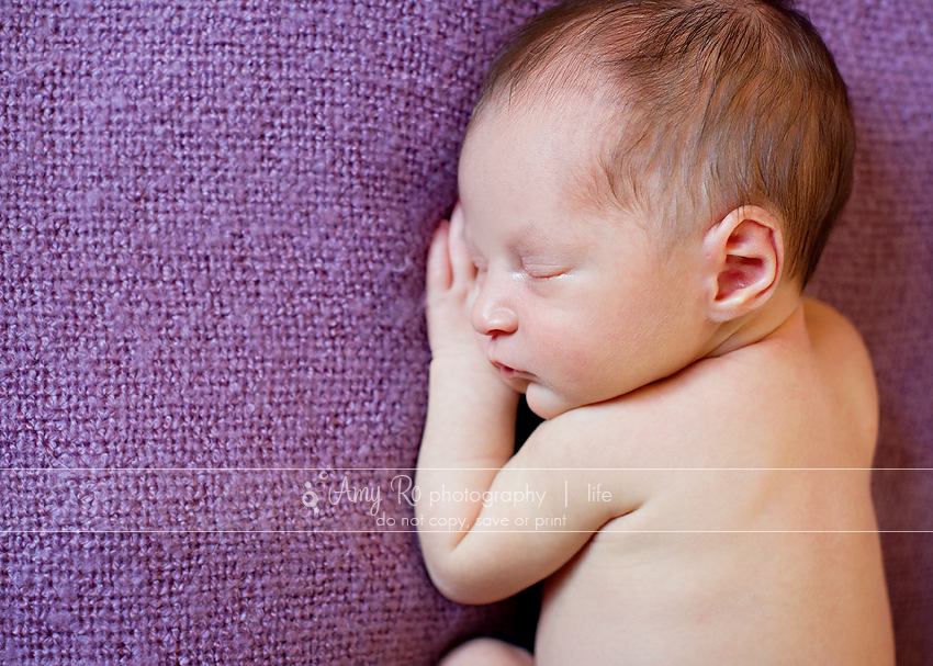 Profile newborn shot on purple blanket