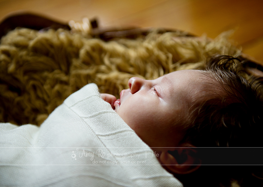 Beautiful profile image of sleeping newborn in a basket