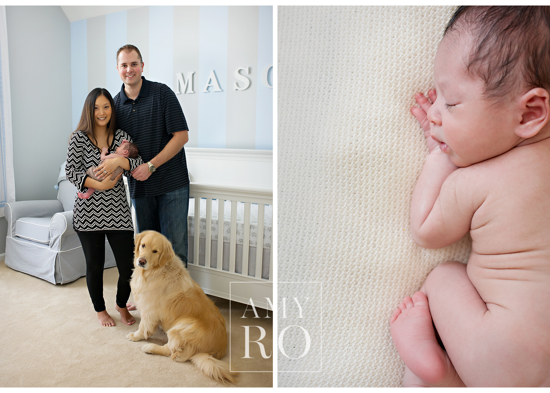 Newborn family image with the family dog golden retriever, image of newborn on his side with srinkles