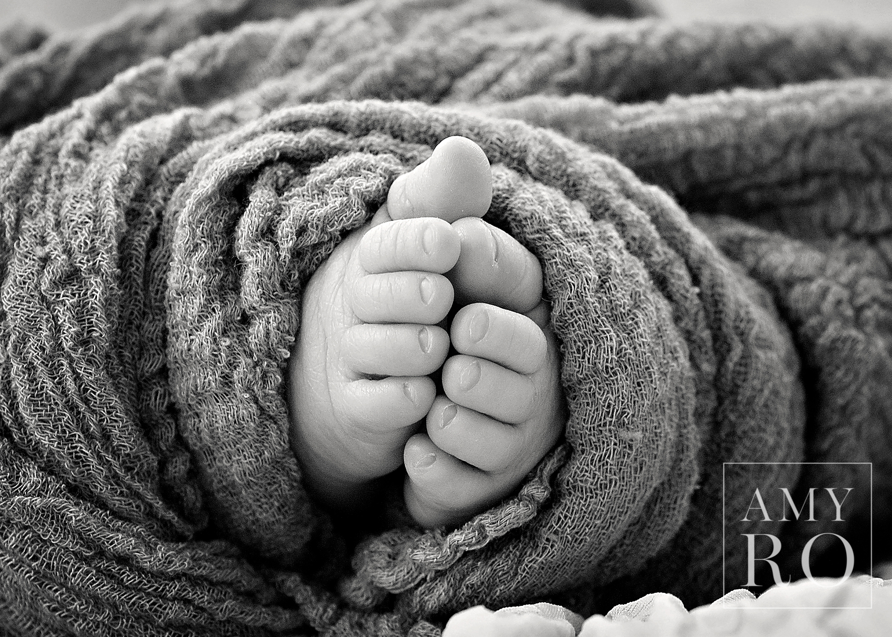 Black and white image of newborn toes wrapped taken during a lifestyle newborn photography session in Pawtucket