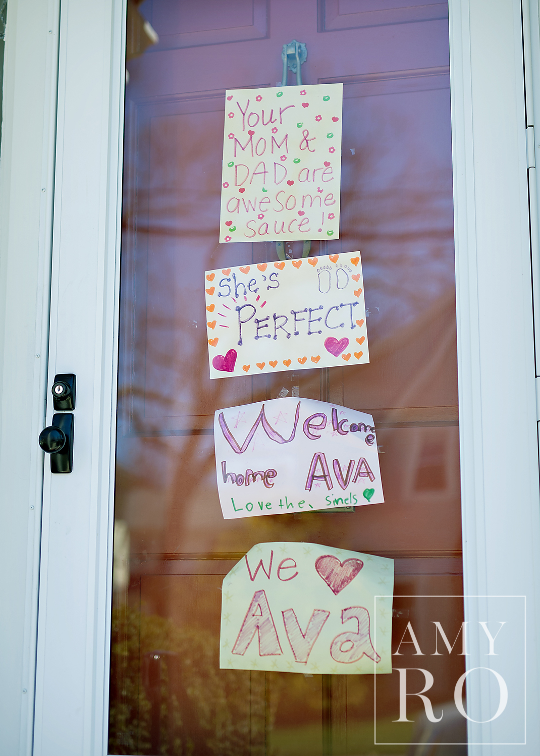 Door Signs from newborn session