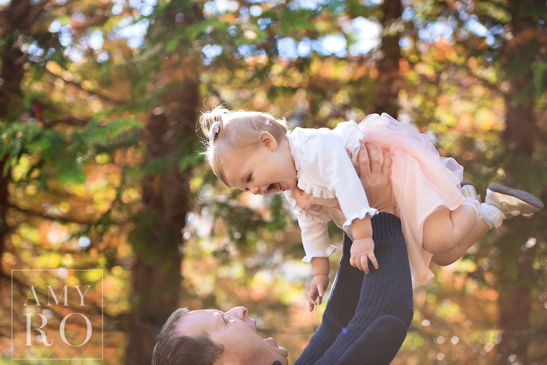 Image of dad holding baby daughter above his head in front of gorgeous foliage back drop during family photography session in Rhode Island