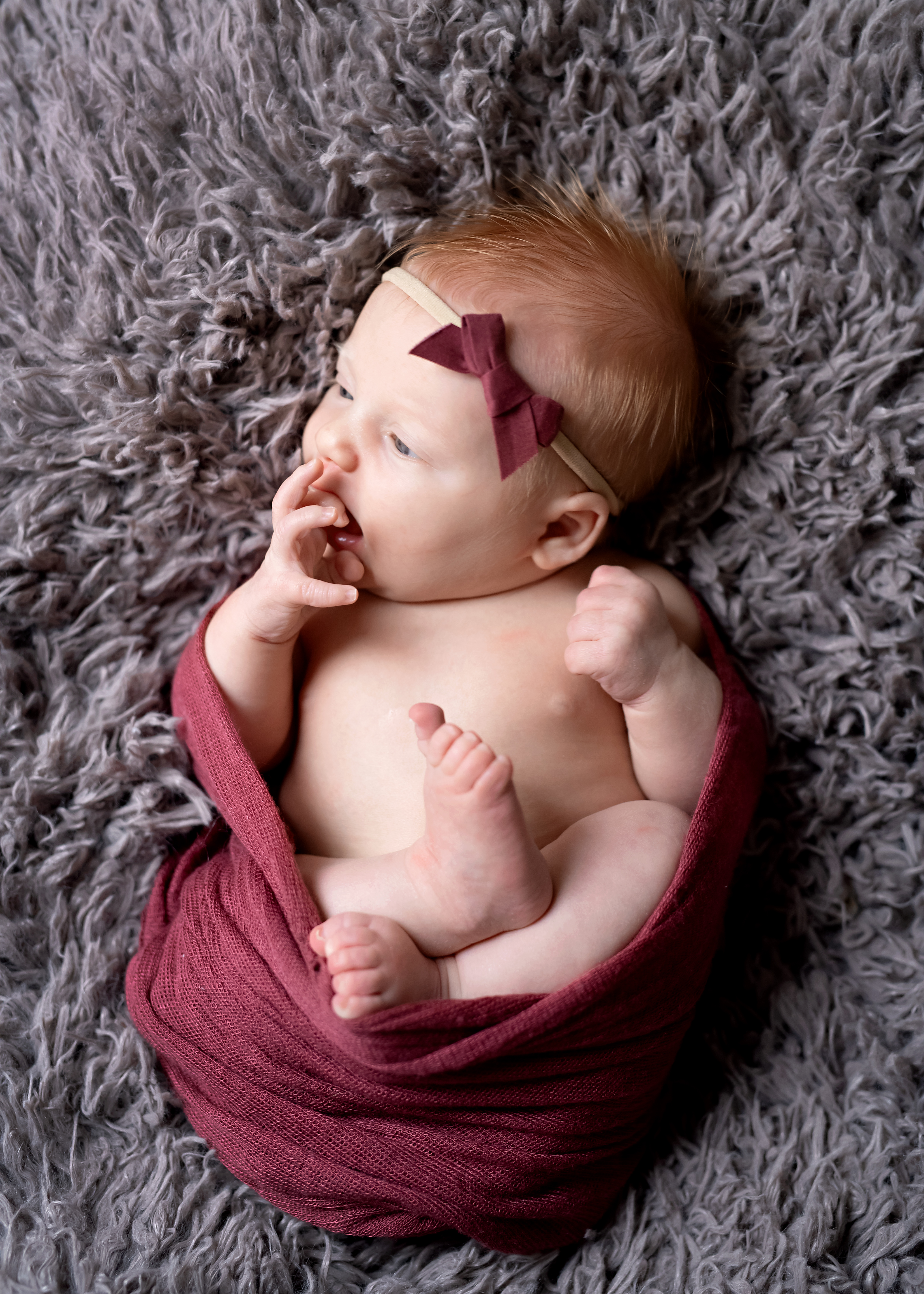 best shrewsbury massachusetts newborn photographer