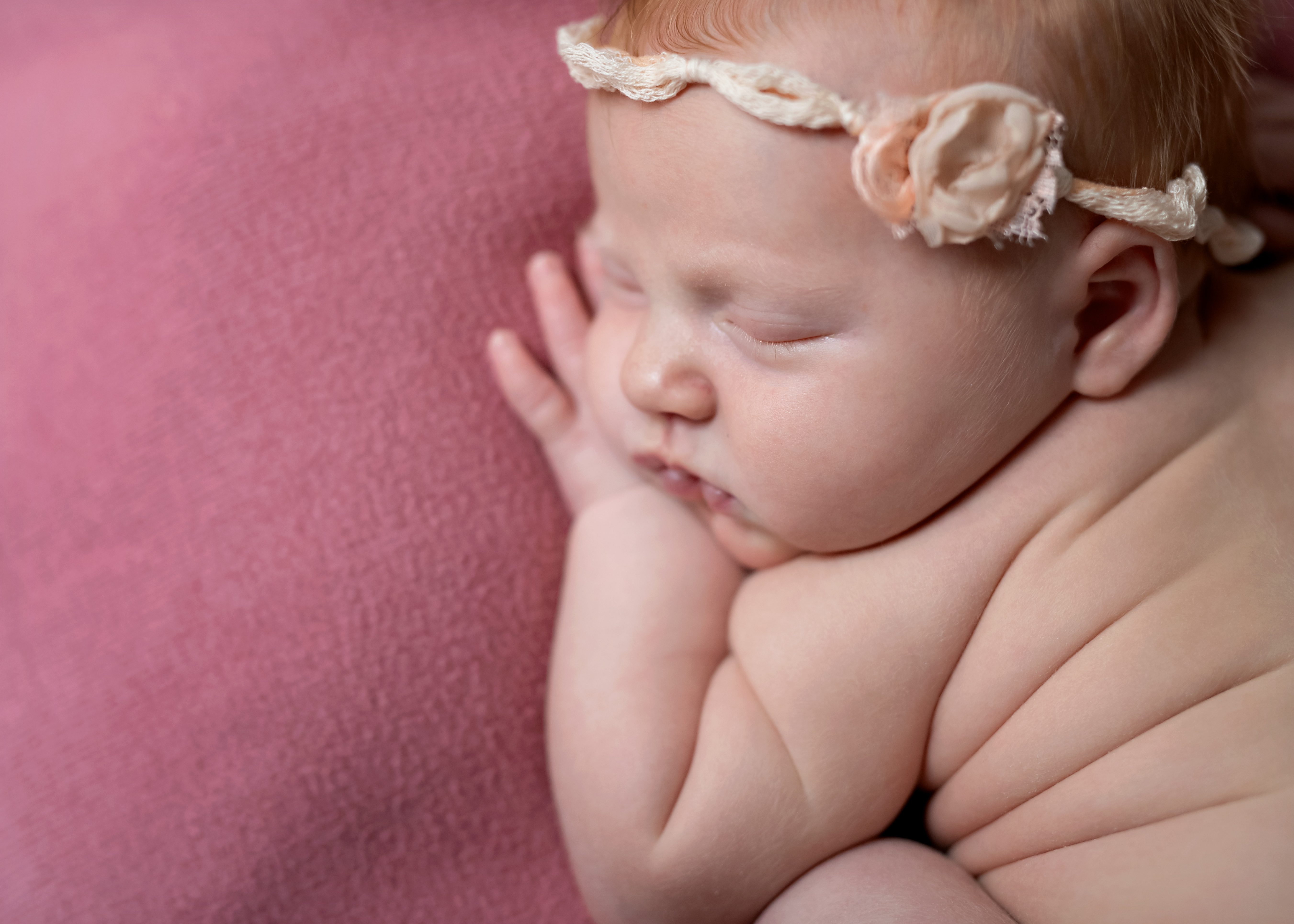 newborn photos shrewsbury massachusetts