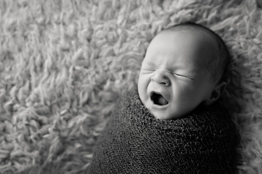 best newborn photographer rhode island
