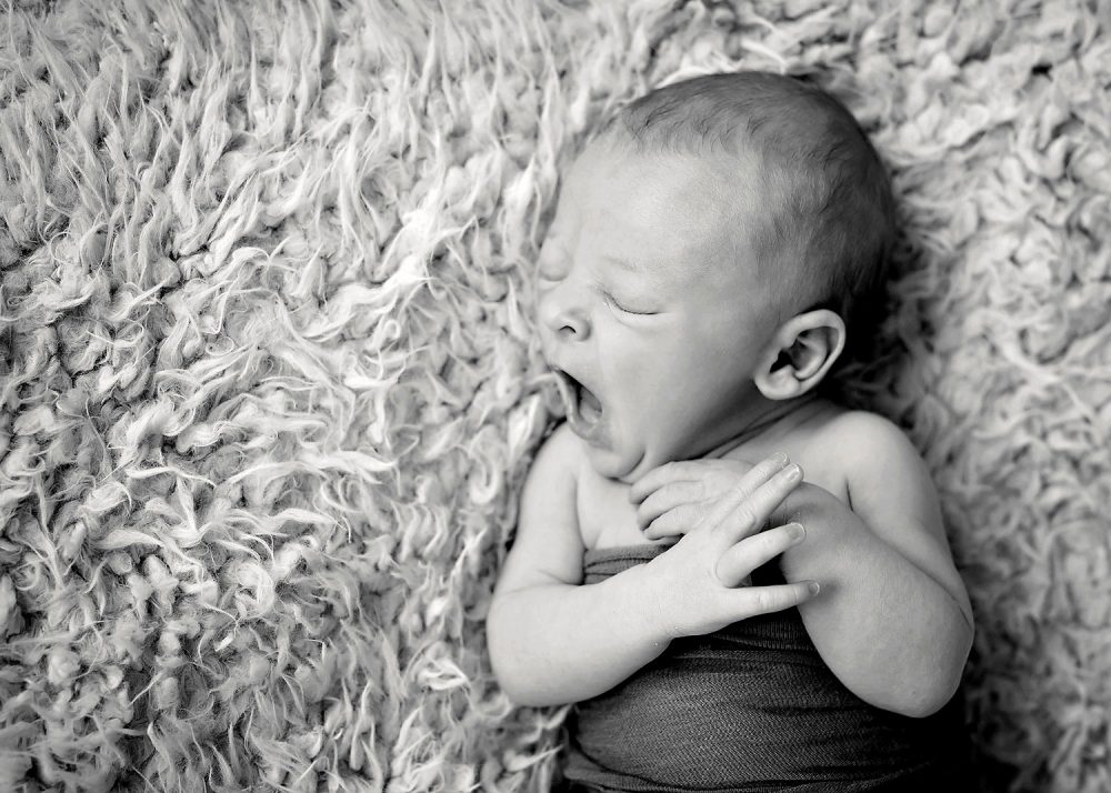 best rhode island newborn photography
