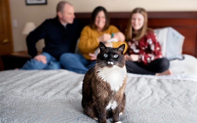 Massachusetts Newborn Photographer