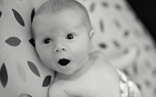 Newborn Photos Rhode Island