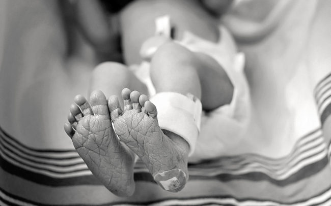 Rhode Island Fresh 48 Photography