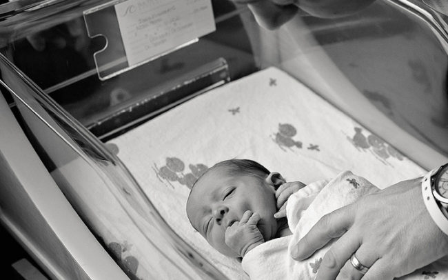 Rhode Island Fresh 48 Portraits