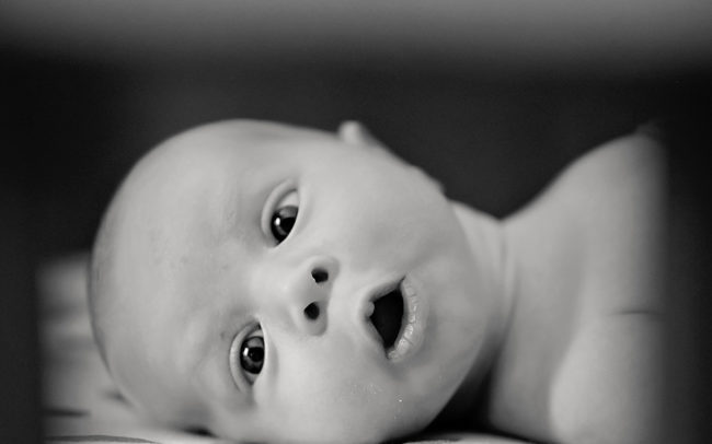 Rhode Island Newborn Portraits 1