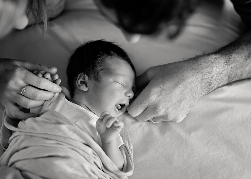 newborn photographer providence