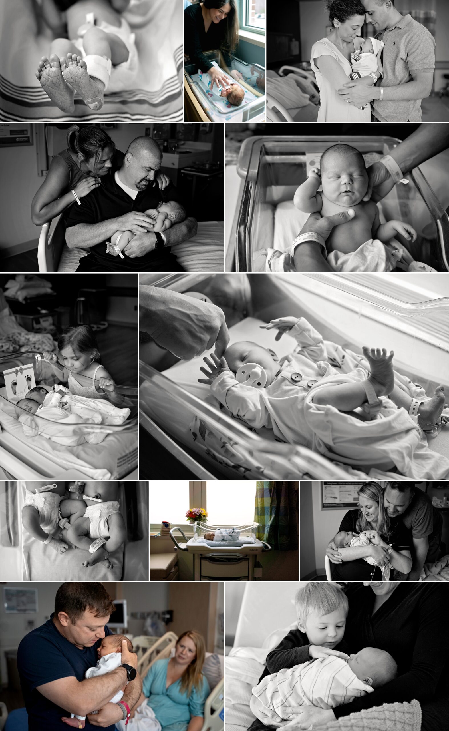 Fresh 48 Website 1 Fresh 48 Website 1